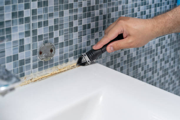 Best Mold Testing and Inspection Services in Trinity, NC