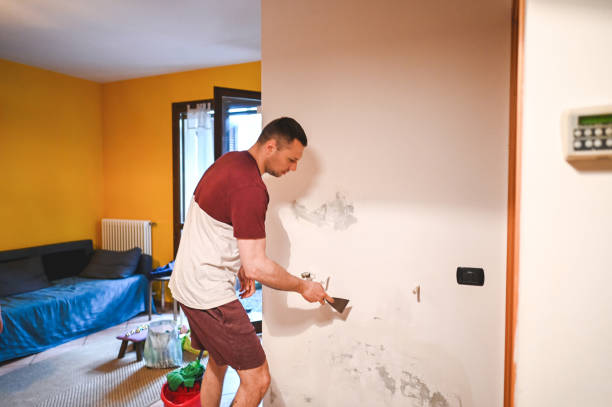 Trusted Trinity, NC Mold Remediation Experts